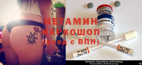 сатива Магадан