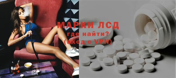сатива Магас