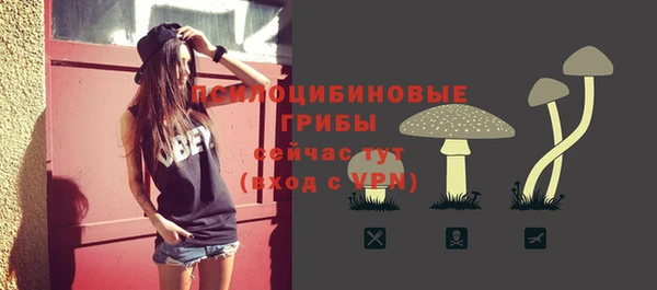 сатива Магас