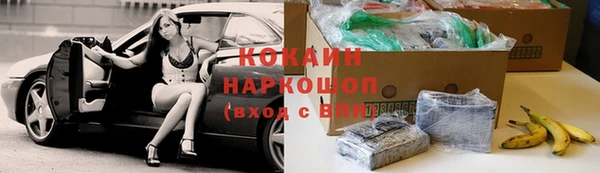 сатива Магадан