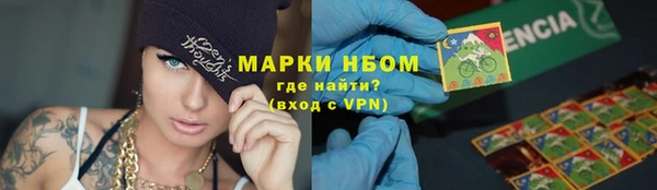 сатива Магас