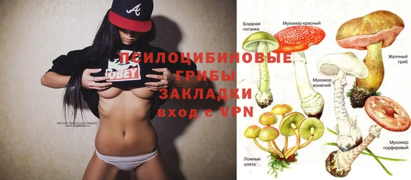 сатива Магадан