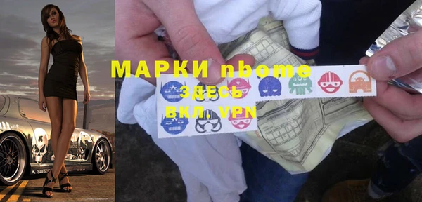 сатива Магас