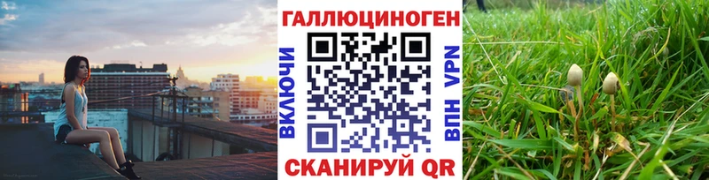 Псилоцибиновые грибы GOLDEN TEACHER  mega вход  darknet какой сайт  Скопин 